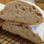 Ciabatta Sezione