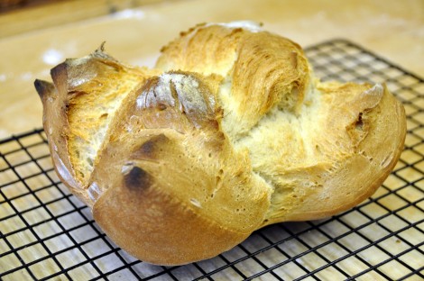 pane_casereccio_semplice