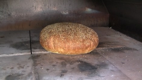 pane-semplice-alfapizza 10
