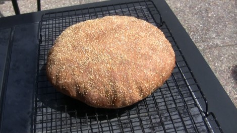 pane-semplice-alfapizza 11