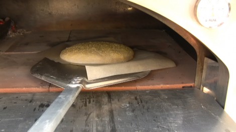 pane-semplice-alfapizza 8