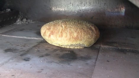 pane-semplice-alfapizza 9