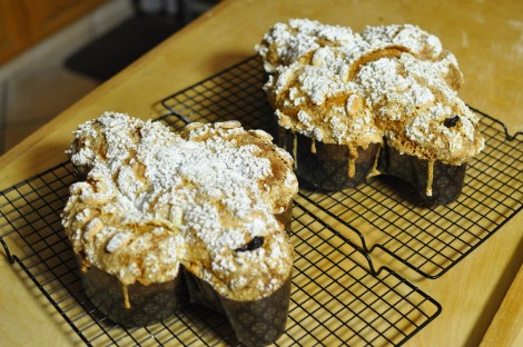 Ricetta Colomba Pasquale