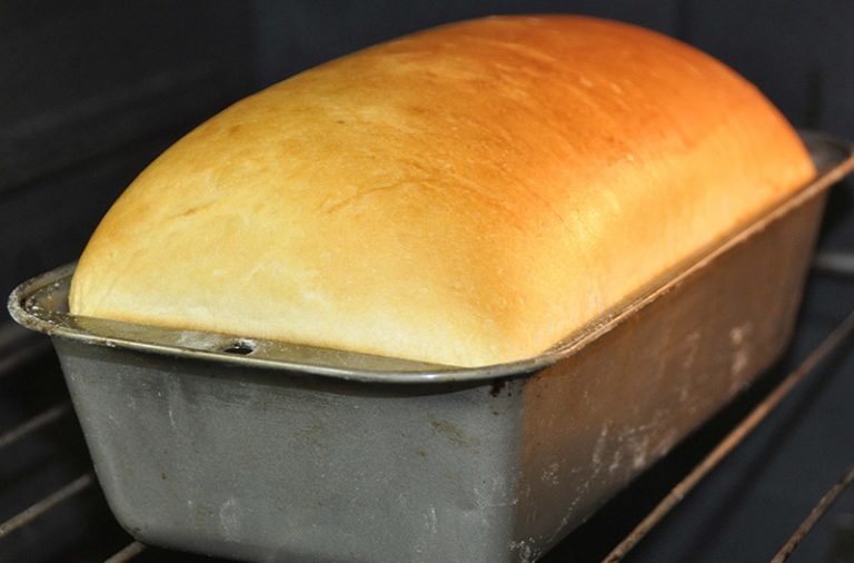 Pane