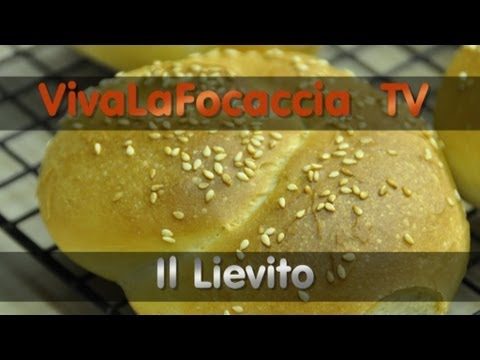 VivaLaFocaccia TV – Puntata 6 – Il Lievito