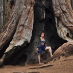 sequoia 3