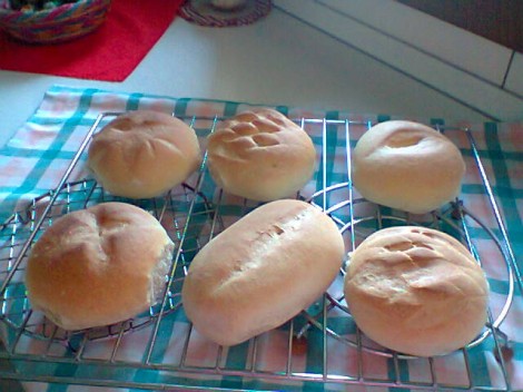pane1