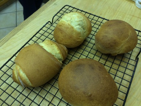 Pane Veloce Luca