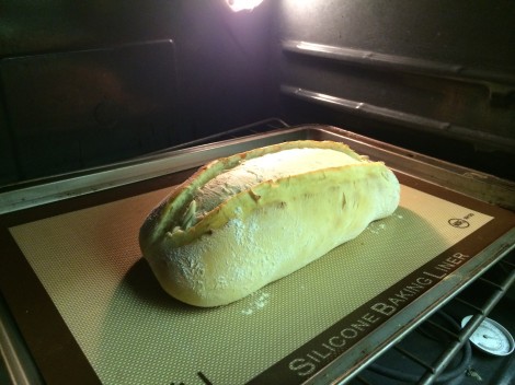photo 2 (2)