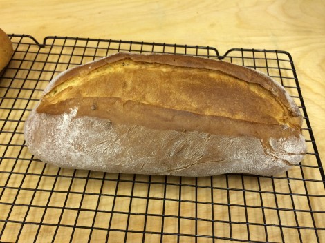 Pane Veloce Luca
