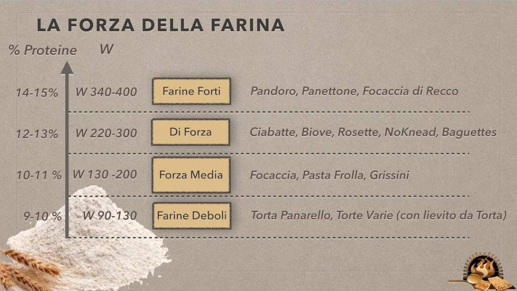 Proteine Nella Farina Forza Delle Farine Come Riconoscerla EHJWG