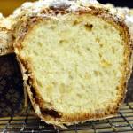 Ricetta Colomba Pasquale Veloce