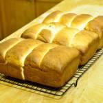 Pane al Latte Water Roux